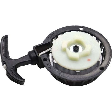 Aiperq Pièces pour moteurs 2 temps 49cc, pièces de démarreur pour moteurs de tondeuses à gazon/motos (1/4)