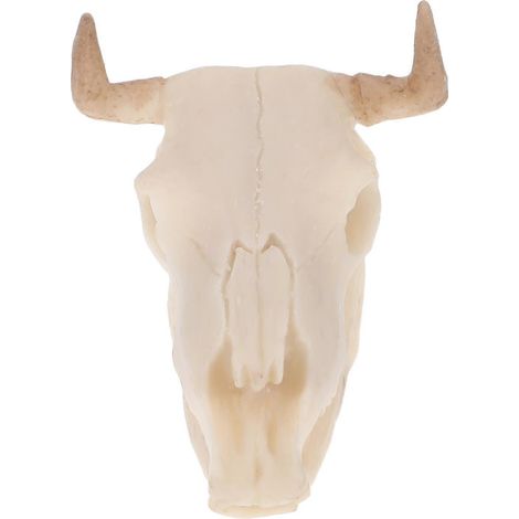 Décoration d'aquarium en résine en forme de crâne de buffle, compatible avec les aquariums (lot de 3). (1/4)