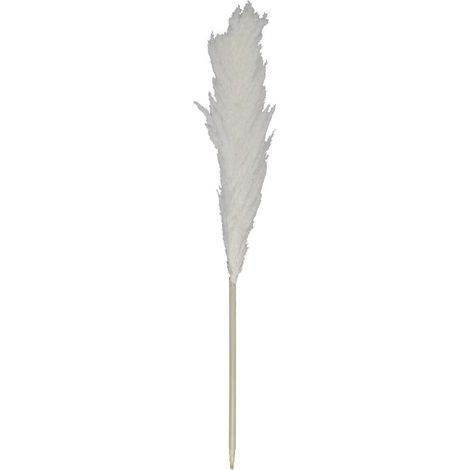 Pampa naturelle beige en roseau séché hauteur 120 cm