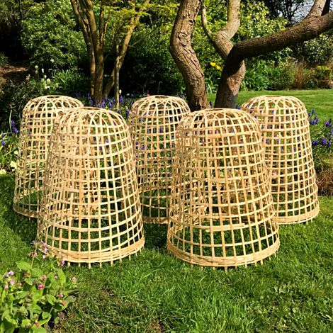 Bamboo Bell Cloche - Medium (pack of 5) (1/2)