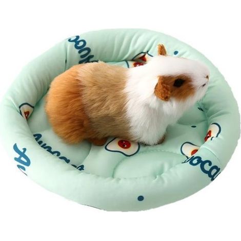 Cama/alfombrilla refrescante de seda helada para mascotas pequeñas，Diámetro exterior 20,5 cm，Diámetro interior 14 cm，Apta para hámsteres (1/5)