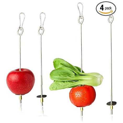 Brochette Nourriture Perroquet Acier Inoxydable Mangeoire Perroquet Jouet Perruche Porte-Fruits Viande Alimentaire Bâton Titulaire Cages Oiseau 22cm 17cm (1/5)