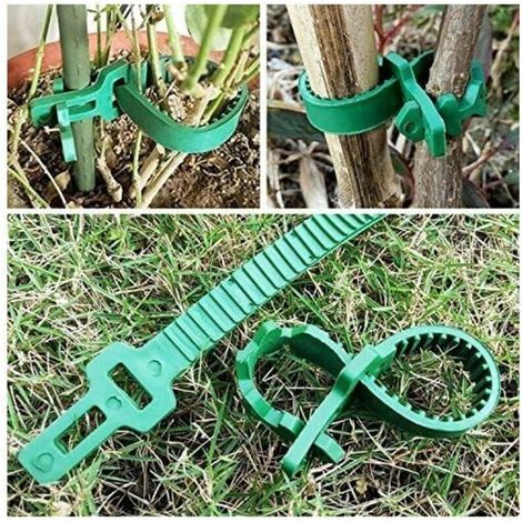 Lot de 5 attaches d'arbre de 24 cm, attaches d'arbustes robustes, attaches d'arbre de jardin à verrouillage réglable pour support de plantes de rosiers arbustes (1/5)