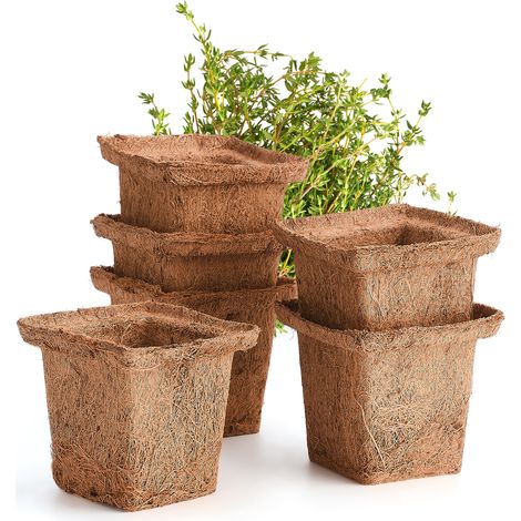 Godets de Culture en Fibre de Coco 6 Pièces - Pots Biodégradables pour Horticulture et Semis, 6cm/10cm/9cm, Coloris Brun (1/5)