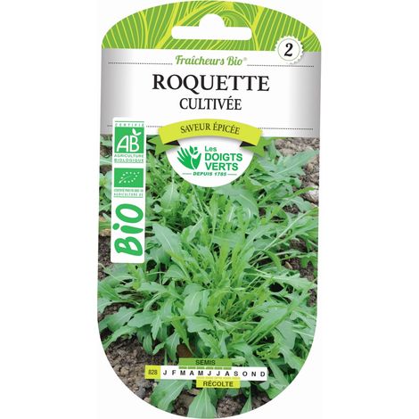 Graines de roquette cultivée BIO Les Doigts Verts
