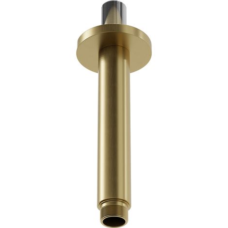 Colore Round Brushed Brass 150mm Round Vertical Shower Arm (1/5)
