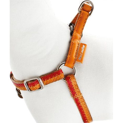 B - Pettorina 10 mm: