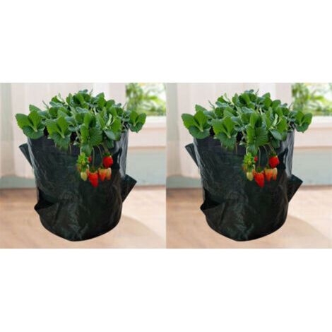 Sacs de Culture pour Fraise, 2PCS 18L/5 Gallons Sac de Legumes, Tissu Non-tissé Sac de Plantation avec Fenêtre, Sac de Legumes de Jardin (23X28CM (4 ports)) (1/5)
