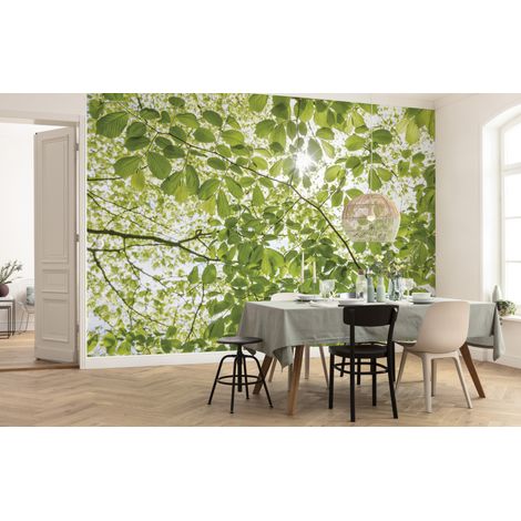 Papier peint panoramique naturel Dans la Forêt de Printemps (1/4)