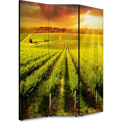 Lupia - Separe' per interni, Divisorio 135,6 x H 176 x P 3,1 cm IL VIGNETO paravento 3 Ante in legno con Tele stampate fronte retro Soggetto unico (1/4)