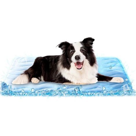 Tapis Rafraîchissant pour Chien Tapis de Caisse Respirant et Antidérapant Lit pour Chien Intérieur Extérieur , Caisse, Cage, Maison, Été, Chat, Animal (1/5)