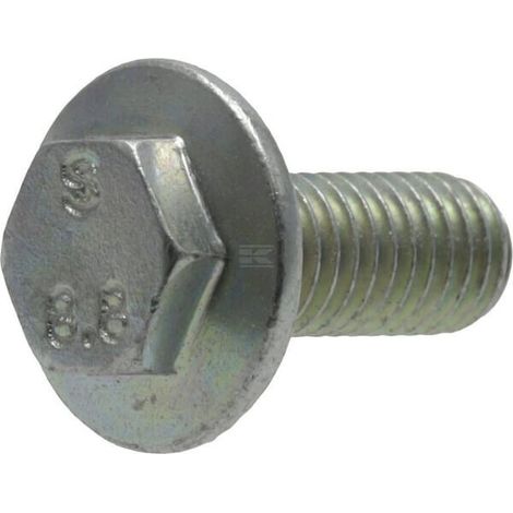 Vis BRIGGS & STRATTON 1739622YP (1/2)