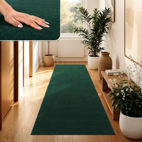 Tapis Salon Moelleux Ultra Doux à Poils Courts - Antidérapant, Lavable, Confort Idéal pour Salon et Chambre, Dimension:60x100 cm, Couleur:Vert (1/5)