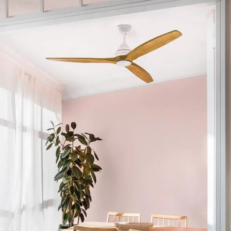 ALO, Fan mit Licht, Faro Barcelona (1/5)