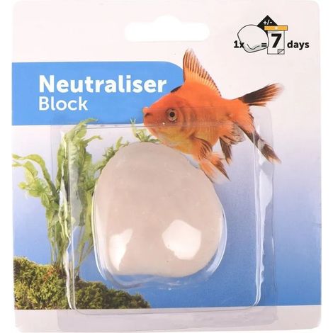 Coquille à oxygène  pour poisson d' Aquarium - animallparadise