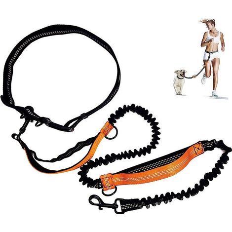 Jogginggeschirr mit Hüftgurt, freihändiges Geschirr mit Stretch und Rückenstütze für mittelgroße und große Hunde, freihändiges Laufen, Radfahren und andere Sportarten. (1/3)