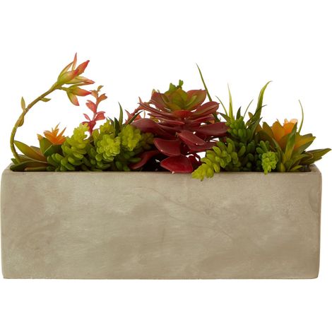 Premier Housewares Fiori Mixed Succulents with Cement Pot (1/5)