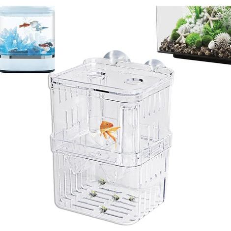 Zuchtbox, Acryl, schwimmend, Saugnäpfe, Aquarium, Betta, Guppys, Garnelen (1/5)