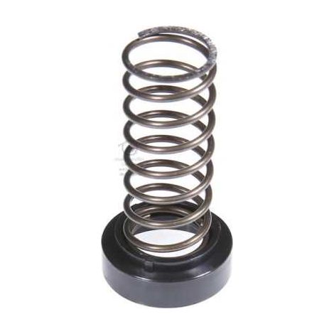 Kit bague + ressort pour tête débroussailleuse Easy Load Ø 109 mm Tecomec (1/3)