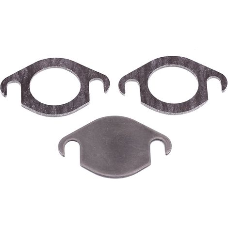 Kit de plaque d'obturation de vanne EGR avec joint, compatible avec SEAT GALAXY TDI (1/5)