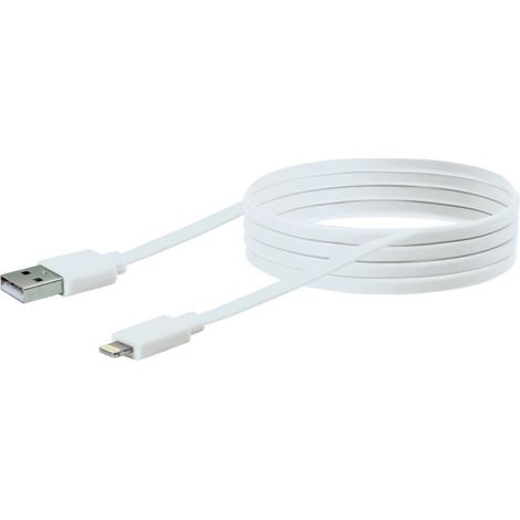 Cavo Di Ricarica Di Apple