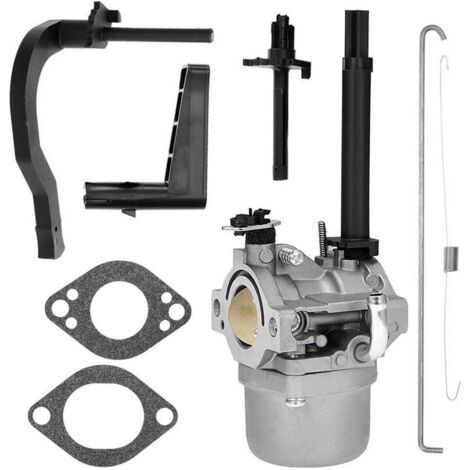 Carburateur adapté aux modèles 591378, 699966, 699958, 796321 et 696132 de souffleuse à neige P25 (1/4)