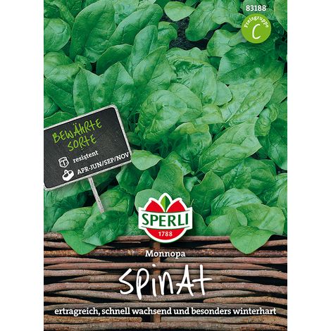 Sperli Spinat Monnopa - Gemüsesamen (1/4)