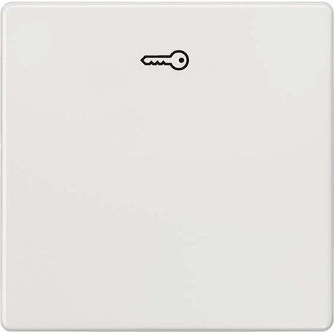 Siemens Indus.Sector Wippe m.Symbol Türöff. Delta Vita, tws 5TG6208