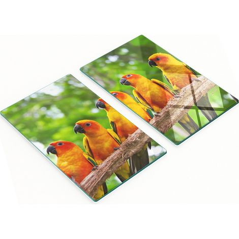Juego de dos tablas de cocina decorativas de cristal con forma de rama de loro (2 x 30 x 52 cm) (1/5)
