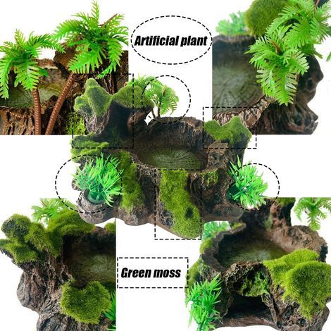 Aliments pour reptiles, mangeoires en résine pour tortues, récipients en verre, plantes artificielles décoratives, lézards, geckos, caméléons, grenouilles, araignées (1/5)