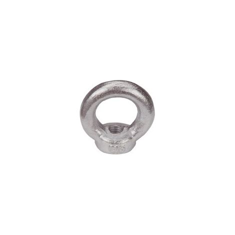Vite Con Anello Din 582 Acciaio Inossidabile A2 M12 Hp (A 10)
