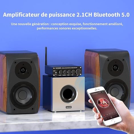 Bluetooth 5.0 Récepteur Audio Stéréo Amplificateur 2.1 Canaux Mini D Amplificateur Intégré 50W x 2+100W pour la Maison Haut-Parleurs Passifs d'extérieur/Subwoofer (1/3)