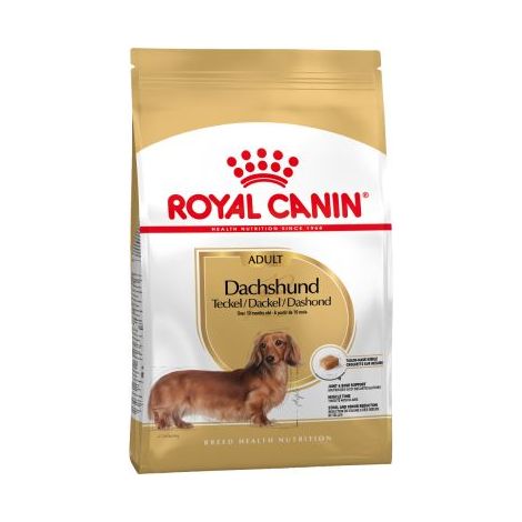 cibo che Royal Canin Dachshund Adult Dogs of Adult e Maduro Teckel Race (da 10 mesi) - 1,5 kg