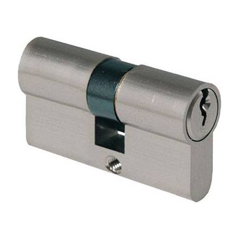 2,0 x CYLINDRE PROFILÉ 2300 IBFM