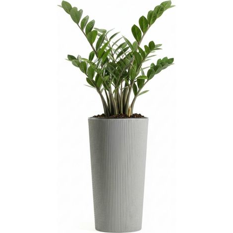 Vaso da fiori Urbanika ECO in legno grigio, altezza 36,4x19,6 cm