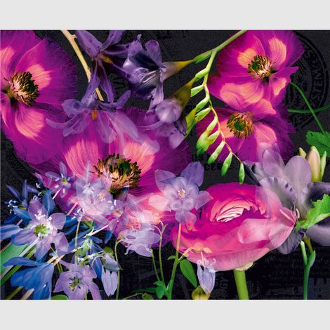 Papier peint intissé - Fleurs violettes - 360x270 cm (1/2)