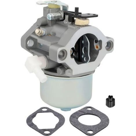 699831 Vergaser für Briggs & Stratton Rasenmähermotoren 283702 283707 284702 284707 28D702 28D707 mit Ersatzteilen 694941 499158