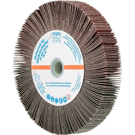 Roues à lamelles FR WS 12520 M14 A 80 (1/2)