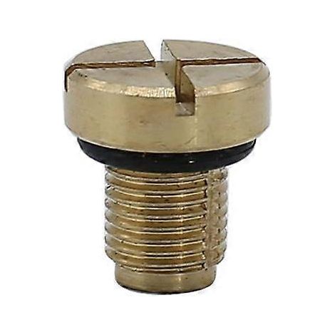 Vis de purge du vase d'expansion pour BMW E36 M5 (1991-2003) (1/5)