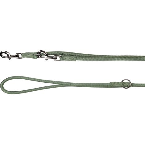 Chien Laisse d'entraînement Kaki 2m 12mm