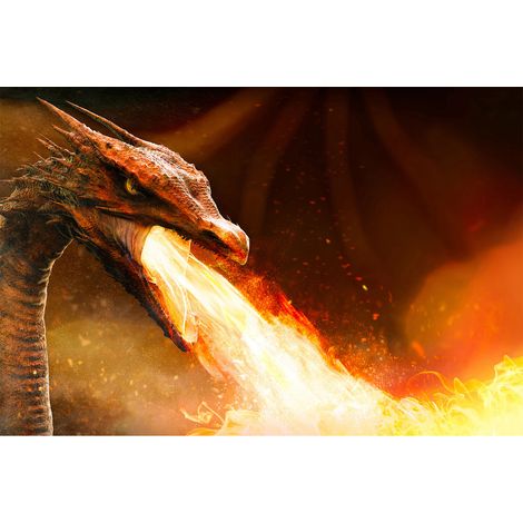 Papier peint panoramique dragon rouge & marron | Tapisserie panoramique chambre garçon| Papier peint panoramique 3D animaux chambre ado - 267 x 400 cm (4 pièces) (1/2)