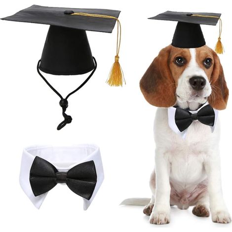 Chapeaux de remise de diplômes pour animaux de compagnie avec nœud papillon, cravate et collier - Accessoire de costume pour chiens et chats (1/5)