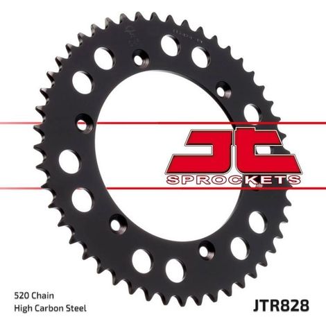Corona posteriore in acciaio JT R828-42, 42 denti, misura 520 (1/2)