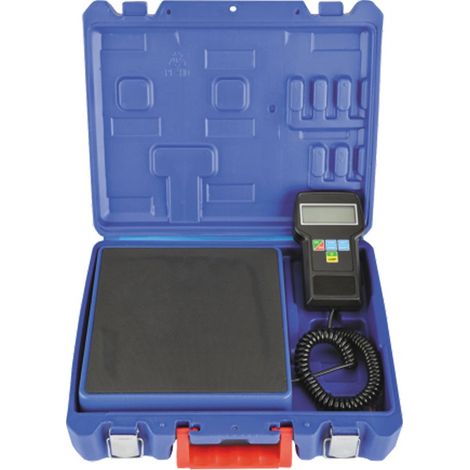 Báscula de carga digital. Carga máxima 100kg.
