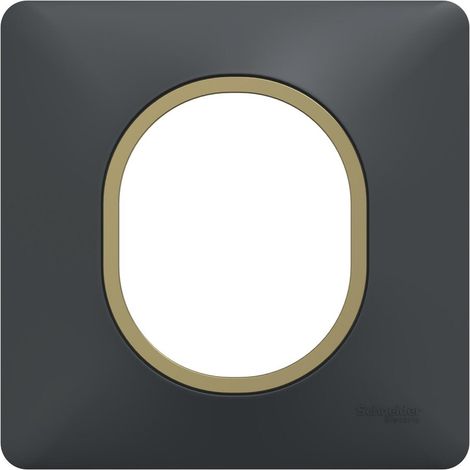 Plafoniera singola Ovalis, SCHNEIDER ELECTRIC, color antracite con anello effetto ottone. SCHNEIDER ELECTRIC (1/5)