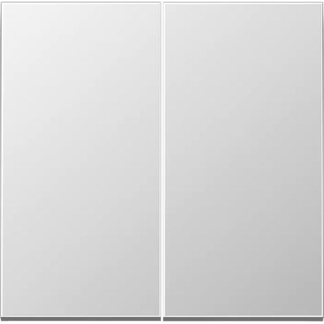 Doppelschlüssel für Schalter oder Taster ALUMINIUM JUNG AL 2995 (1/2)