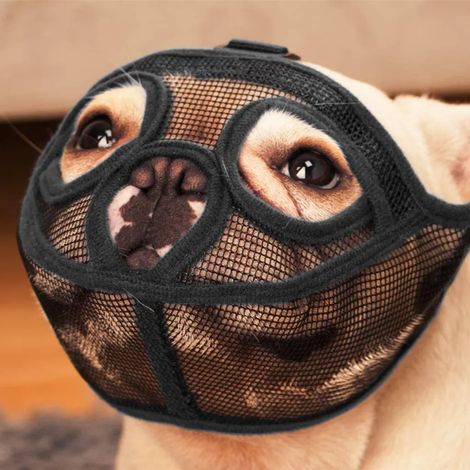 Bozal de malla para perros con hocico corto, adecuado para Bulldogs, anti-mordedura, anti-ladrido, anti-masticación, ajustable, Negro, L (1/5)