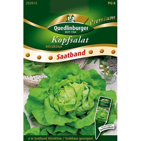 Quedlinburger Saatgut – Laitue pommée Attraktion – Graines de légumes, ruban de semis de 6 m (1/2)