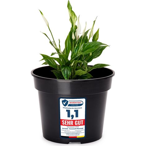 Garronda Pots Horticulture Ronds Pots pour Culture de Plants de Plantes et Fleurs GD-0025 (Noir, ⌀ 15 cm H 11,5 cm)