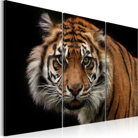 Tableau Imprimé "Tigre Prédateur" 40 x 60 cm (1/2)